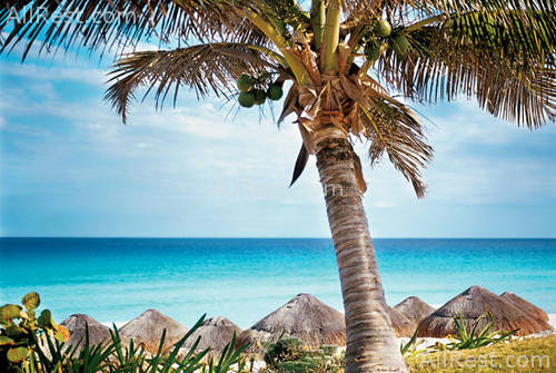 The Westin Resort & Spa Cancun 36